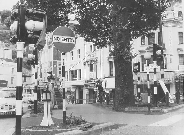 A clutter of traffic lights, belisha beacons and a big old tree at Abbey Place at