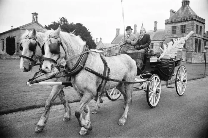 Framed Print : Coach and Horses, being used to beat the fuel shortage at Walton Hall, Walton Framed Print : Coach and Horses, being used to beat the fuel shortage at Walton Hall, Walton