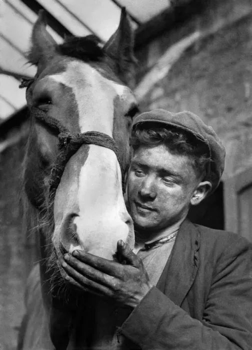 Framed Print : Coal miner with Irar his pit pony. October 1946 P017669 Framed Print : Coal miner with Irar his pit pony. October 1946 P017669