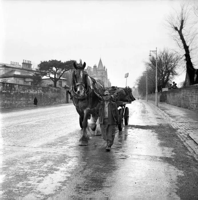 Framed Print : Coalman delivering coal. May 1958 A687