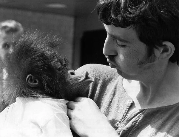 Cody, a year-old orangutan and his teacher, university student Keith Laidler