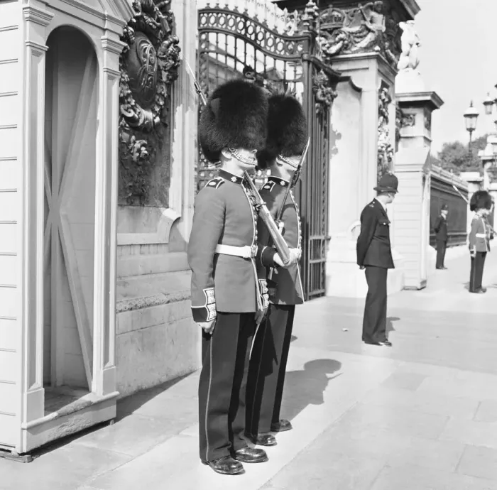 Framed Print : The Coldstream guards seen here mounting the guard at Buckingham Palace Framed Print : The Coldstream guards seen here mounting the guard at Buckingham Palace