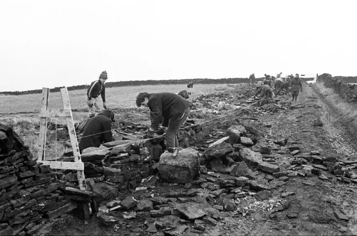 Framed Print : Colne Valley school children dry stone walling at Delves Moor Farm, Slaithwaite Framed Print : Colne Valley school children dry stone walling at Delves Moor Farm, Slaithwaite