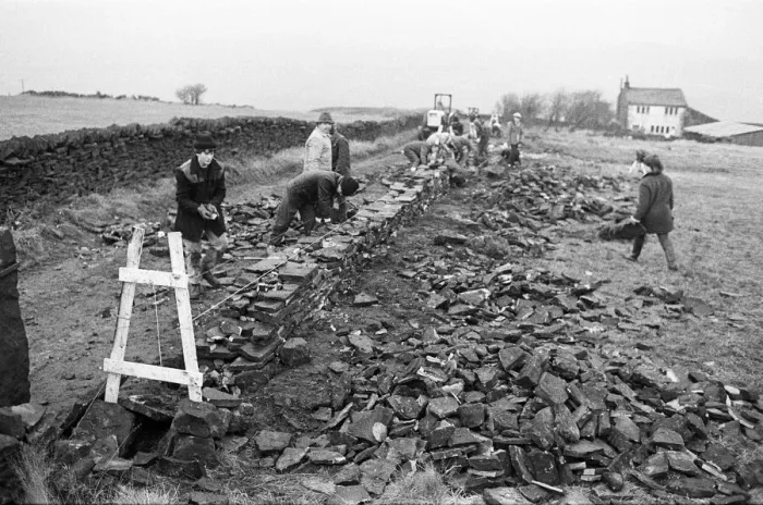 Framed Print : Colne Valley school children dry stone walling at Delves Moor Farm, Slaithwaite