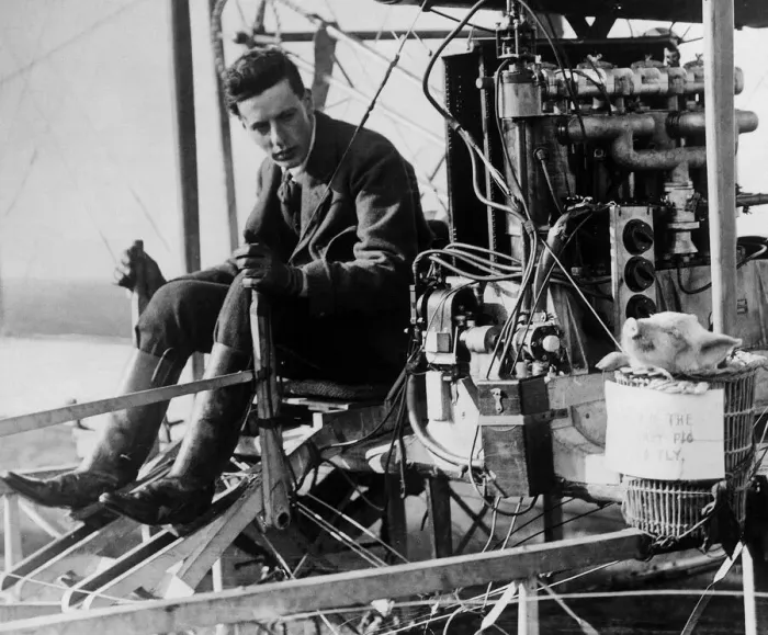 Framed Print : Colonel JTC Moore-Brabazon Britains first certified pilot taking a pig in a basket for a Framed Print : Colonel JTC Moore-Brabazon Britains first certified pilot taking a pig in a basket for a