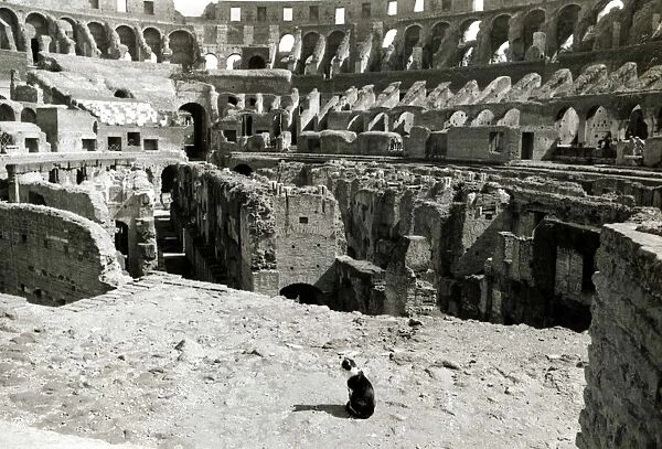 The Colosseum Rome Italy - January 1972