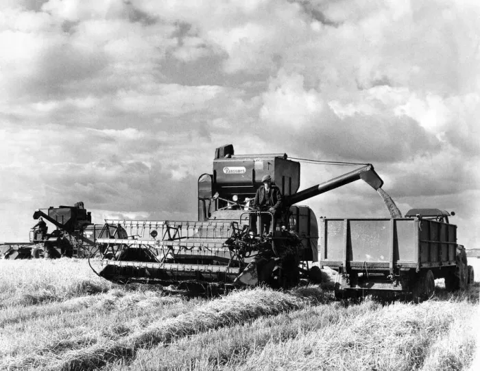 Framed Print : Two combine harvesters at work at once and less field hands makes harvesting quicker Framed Print : Two combine harvesters at work at once and less field hands makes harvesting quicker