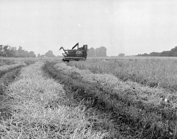 Framed Print : Combine harvesters at work in the fields of Kent 26th August 1954 Framed Print : Combine harvesters at work in the fields of Kent 26th August 1954