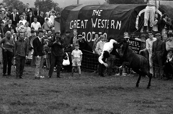 Comeptitiors riding bullocks and ponies watched by a large crowd during the Llangollen