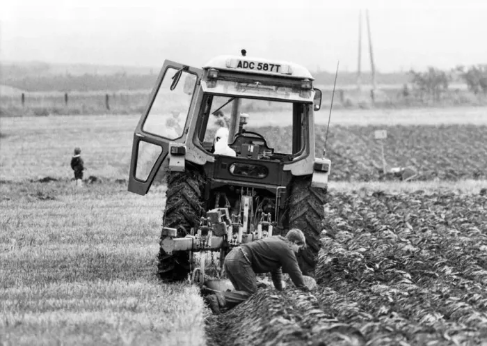 Framed Print : A competitor at the Northern Counties ploughing march gets down to the muddy business of Framed Print : A competitor at the Northern Counties ploughing march gets down to the muddy business of
