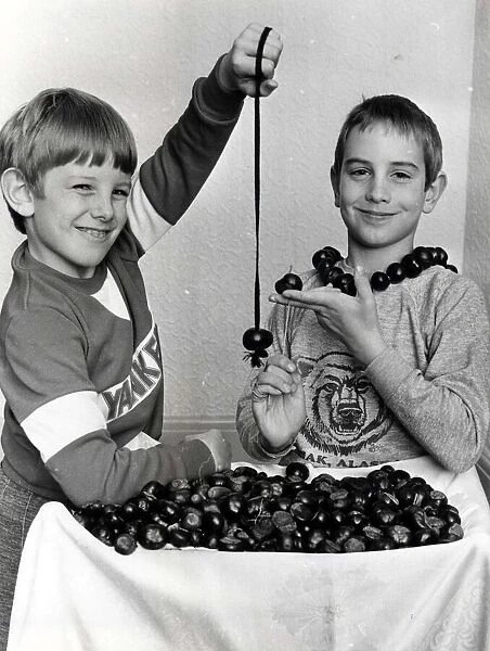 Conkers - Playing conkers, brothers, Rhys (left) aged 7 and Huw Pockett, aged 8