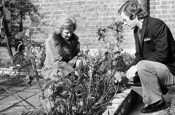 Conservative politician Margaret Thatcher working in the Front garden of her London Home