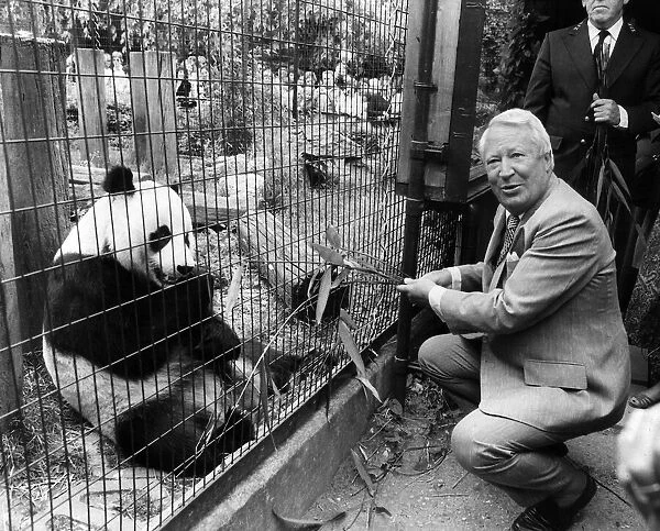 Conservative Prime Minister Edward Ted Heath meets a giant panda at the London Zoo circa