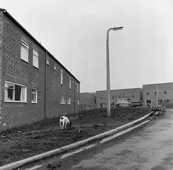 The construction of the Westfield Estate, Loftus. 1974