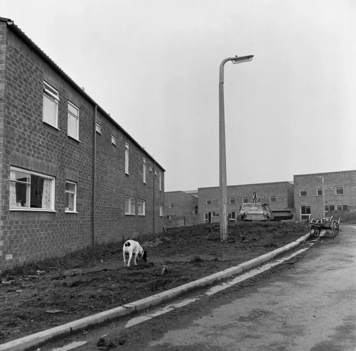 Framed Print : The construction of the Westfield Estate, Loftus. 1974 Framed Print : The construction of the Westfield Estate, Loftus. 1974