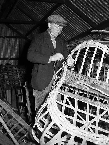 Coracle Fisherman constructing a new boat - 1952