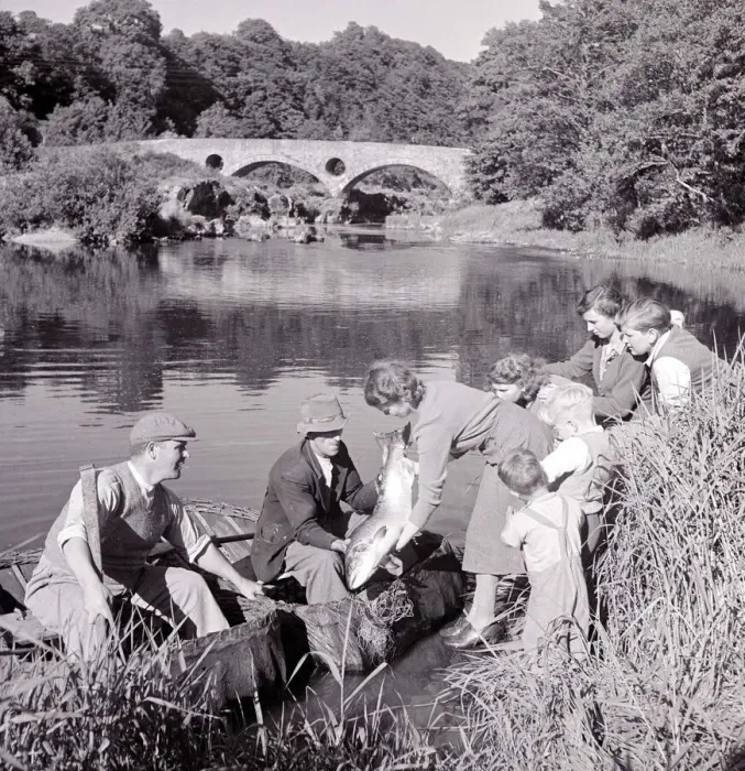 Framed Print : Coracle Fisherman proudly shows his 20lb catch to his wife