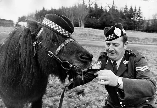 Corporal Tom Begley of the Argylls gives a drink of stout to the regimental mascot
