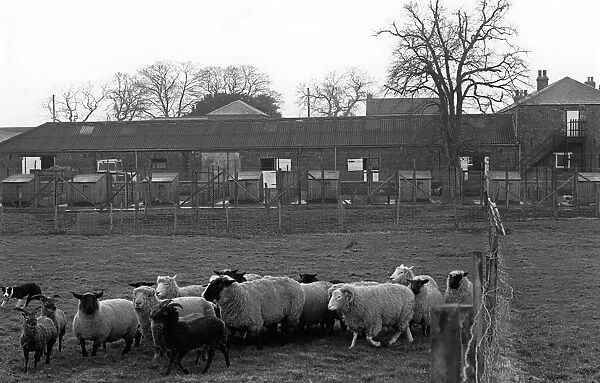 Coulby Newham Leisure Farm, Coulby Newham, Middlesbrough, North Yorkshire