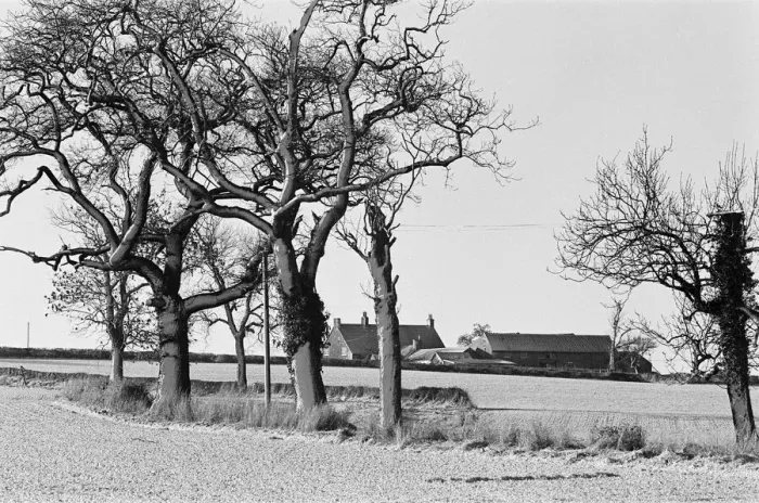 Framed Print : Countryside Scenes, Cleveland, North Yorkshire, 1st February 1980 Framed Print : Countryside Scenes, Cleveland, North Yorkshire, 1st February 1980