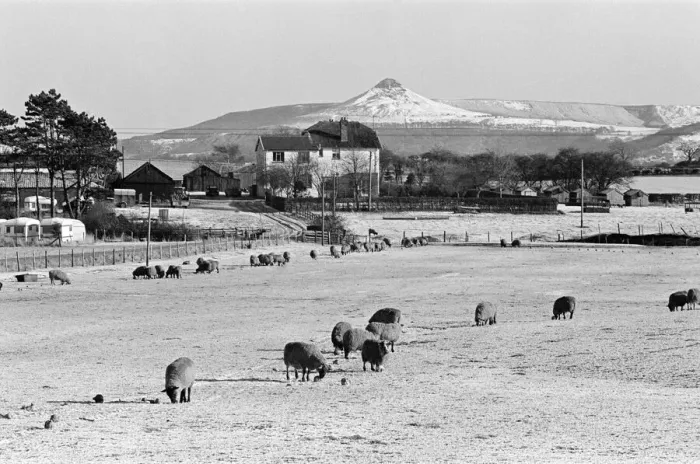 Framed Print : Countryside Scenes, Cleveland, North Yorkshire, 1st February 1980 Framed Print : Countryside Scenes, Cleveland, North Yorkshire, 1st February 1980