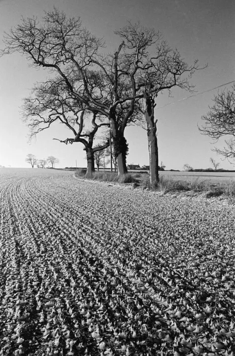 Framed Print : Countryside Scenes, Cleveland, North Yorkshire, 1st February 1980 Framed Print : Countryside Scenes, Cleveland, North Yorkshire, 1st February 1980