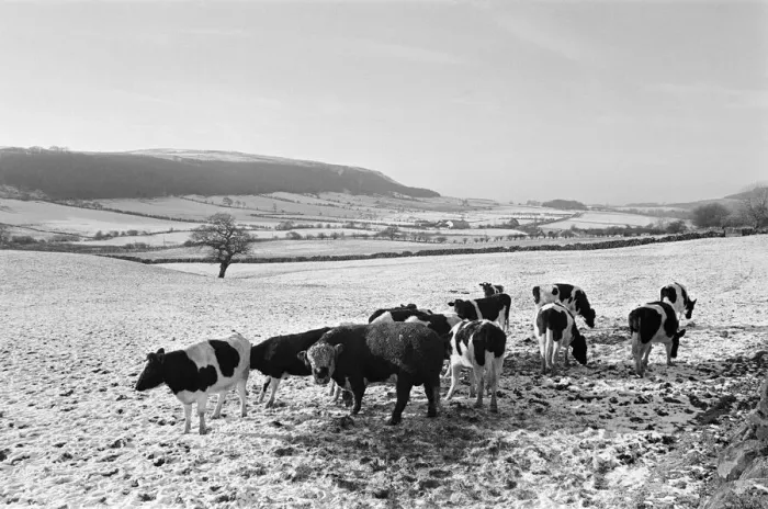 Framed Print : Countryside Scenes, Teesside, North Yorkshire, 2nd January 1980 Framed Print : Countryside Scenes, Teesside, North Yorkshire, 2nd January 1980