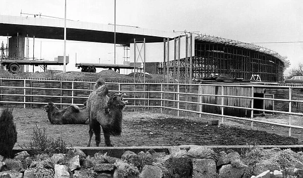 Coventry Zoo, Whitley, 14th January 1973