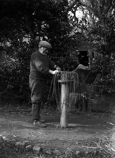 Crab pot making at Penberth, Bending willows into shape for the Crabpots. Cornwall. 1923