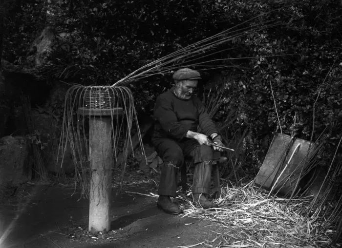 Framed Print : Crab pot making at Penberth, Sharpening willows ready for the frame. Cornwall. 1923 Framed Print : Crab pot making at Penberth, Sharpening willows ready for the frame. Cornwall. 1923