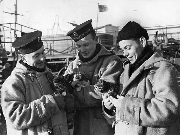 Crew from the Polish destroyer O. R. P. Piorun with their pet cats