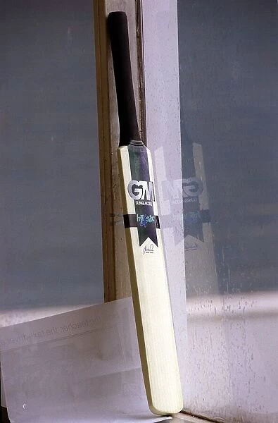 Cricket bat May 199