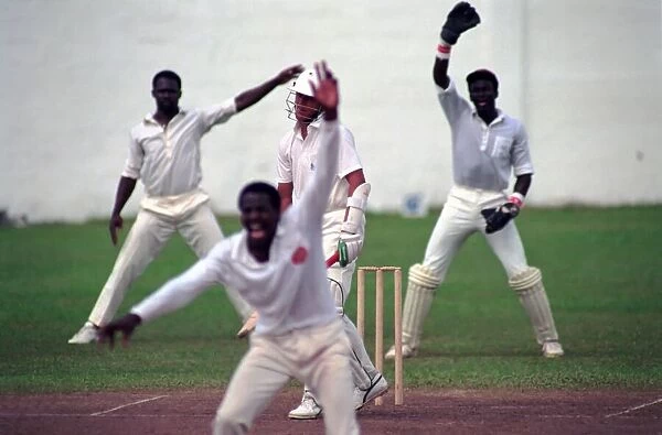 Cricket. England v. Windward Island. March 1990 90-1308A-082