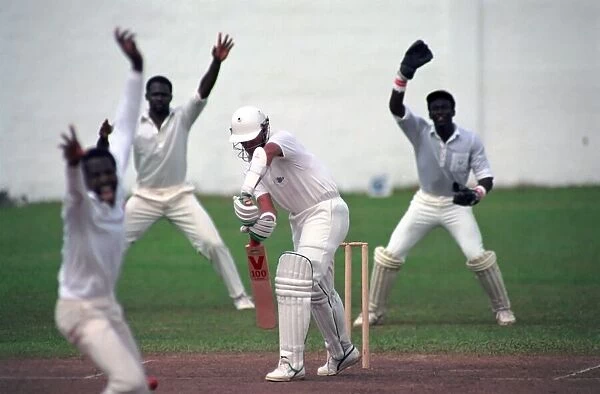 Cricket. England v. Windward Island. March 1990 90-1308A-085