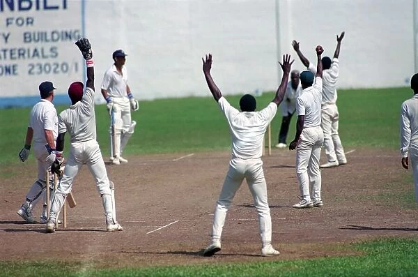 Cricket. England v. Windward Island. March 1990 90-1308A-069