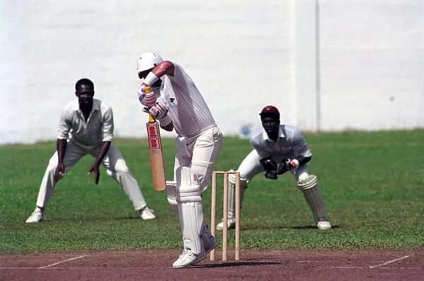 Cricket. England v. Windward Island. March 1990 90-1308A-078