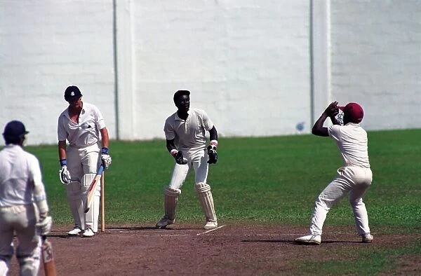 Cricket. England v. Windward Island. March 1990 90-1308A-048