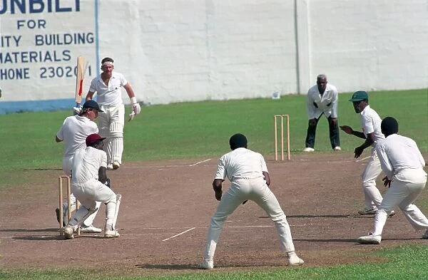 Cricket. England v. Windward Island. March 1990 90-1308A-019
