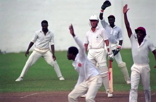 Cricket. England v. Windward Island. March 1990 90-1308A-081