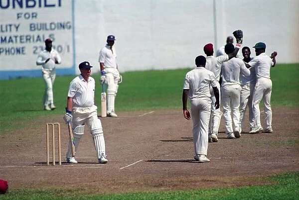Cricket. England v. Windward Island. March 1990 90-1308A-066