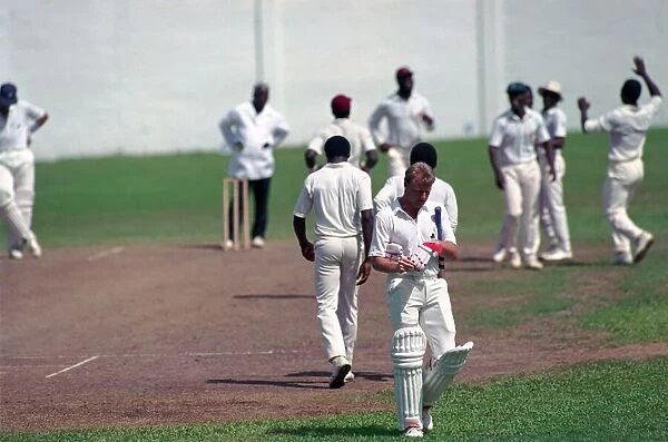 Cricket. England v. Windward Island. March 1990 90-1308A-055