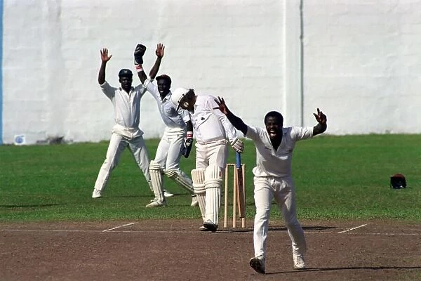 Cricket. England v. Windward Island. March 1990 90-1308A-037