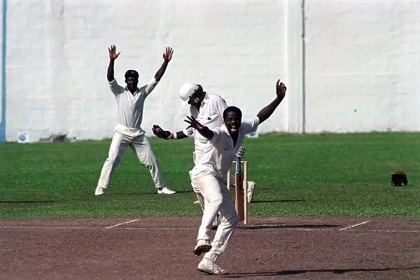 Cricket. England v. Windward Island. March 1990 90-1308A-038