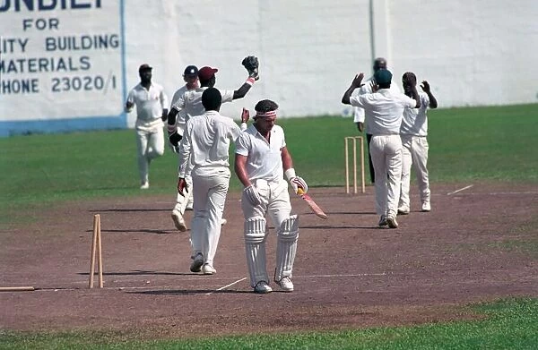 Cricket. England v. Windward Island. March 1990 90-1308A-007