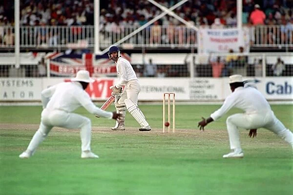 Cricket. West Indies v. England. May 1990 90-2766-096