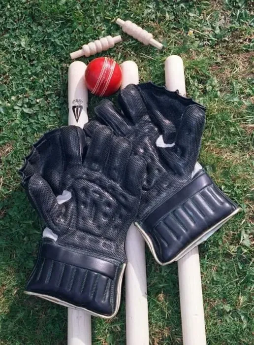 : Cricket Wicket Keepers Gloves Cricket Ball Cricket Stumps DBase : Cricket Wicket Keepers Gloves Cricket Ball Cricket Stumps DBase