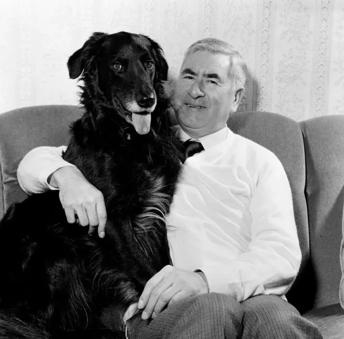 Framed Print : The Crufts show from 12th-14th February will have a new feature this year Framed Print : The Crufts show from 12th-14th February will have a new feature this year