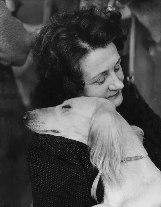 Framed Print : Crufts Dog Show Asleep together by the ring Mrs. Gilda Bunn and her Salukis dog