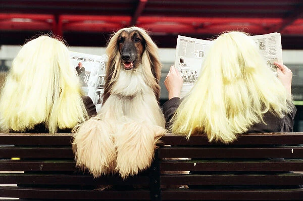 Crufts Dog Show, held at the NEC. 14th March 1995