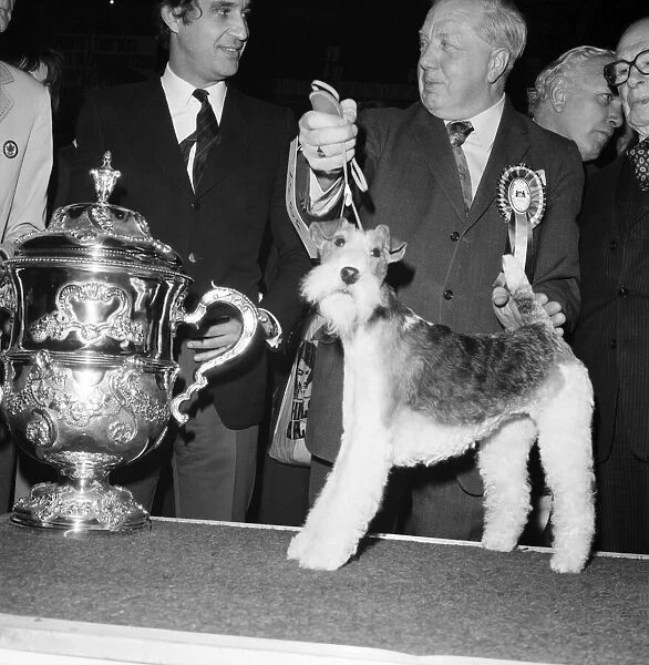 Crufts. Dog winner. February 1975 75-00769-004